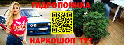 амф Рузаевка